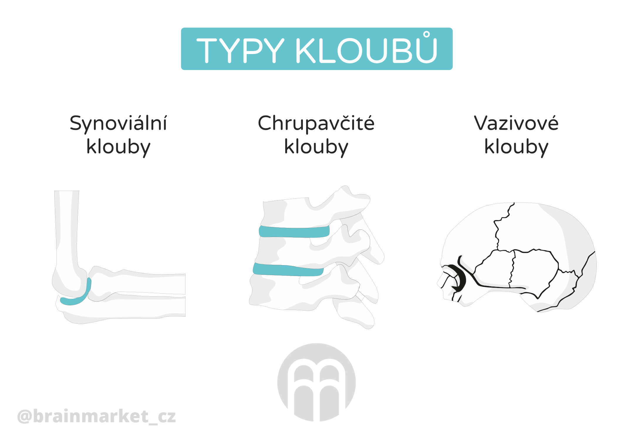 typy kloubu_infografika_cz